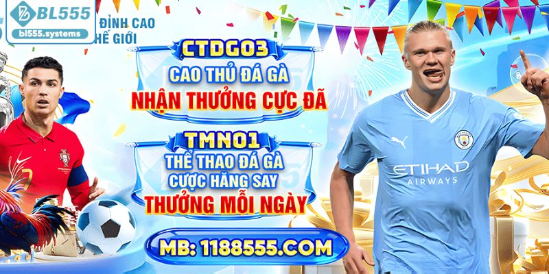 BL555 là gì? Nền tảng trực tuyến hiện đại