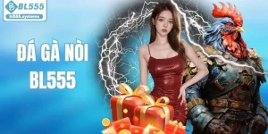 Đá Gà Nòi - Nét Văn Hóa Dân Gian Và Sức Hút Bền Bỉ